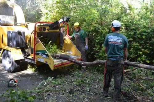 tree services Fruitland